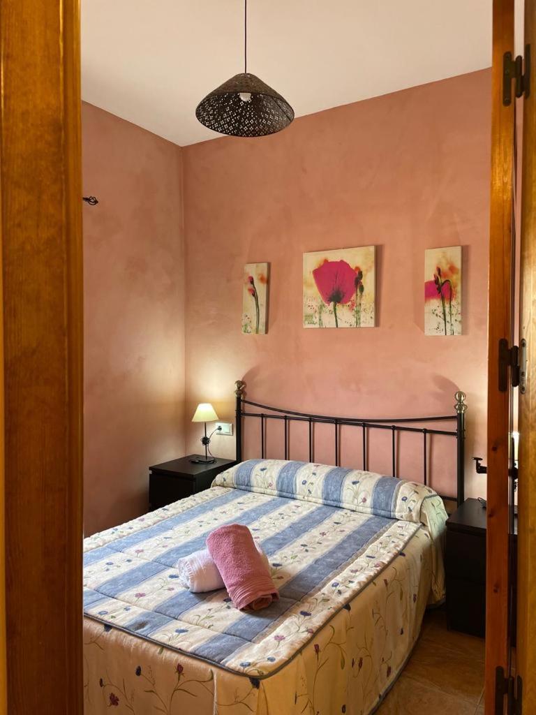 Casa Rural Puente Del Segura Elche de la Sierra Luaran gambar