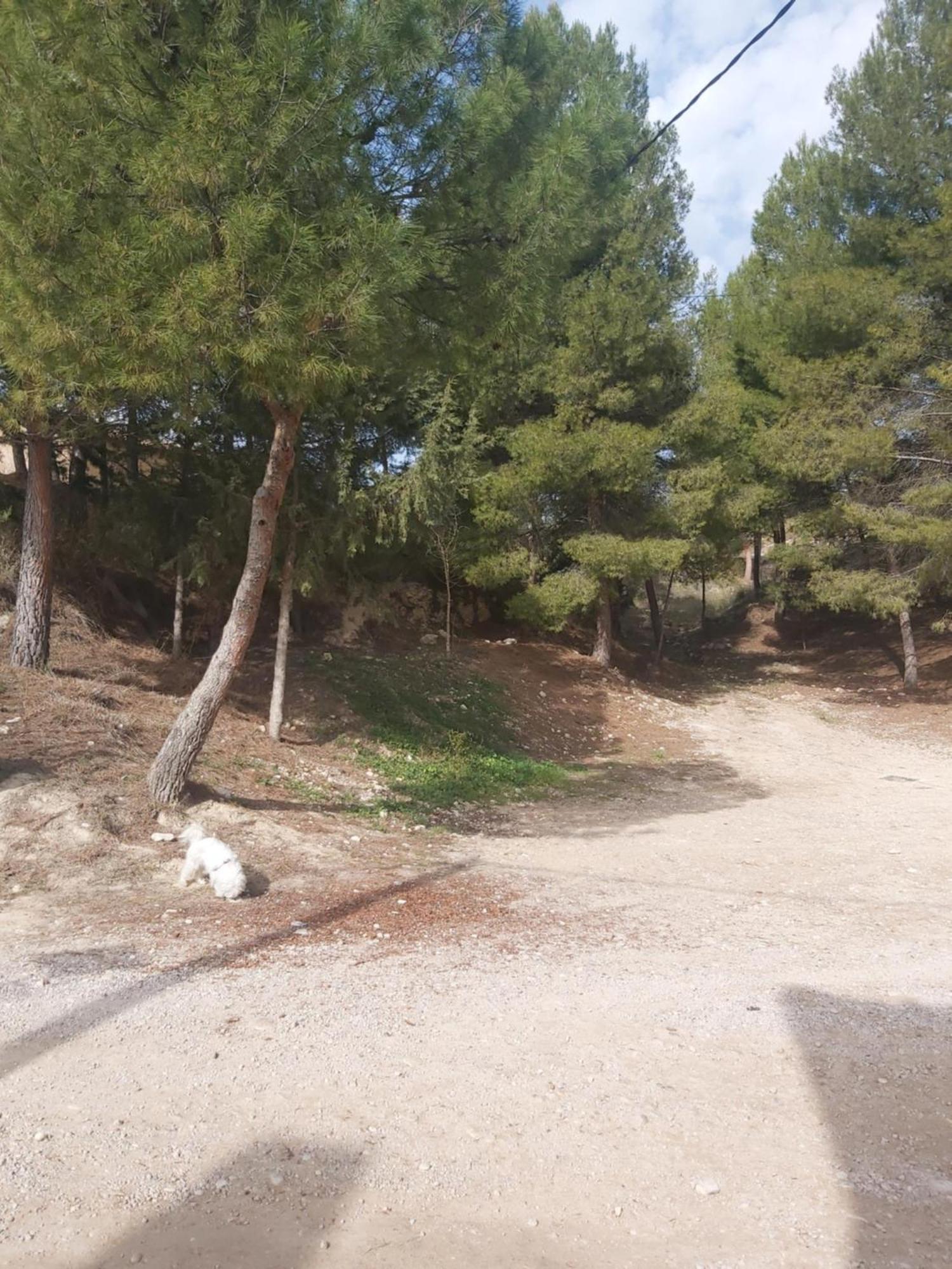 Casa Rural Puente Del Segura Elche de la Sierra Luaran gambar