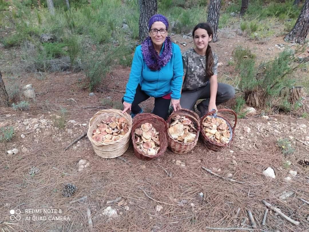Casa Rural Puente Del Segura Elche de la Sierra Luaran gambar